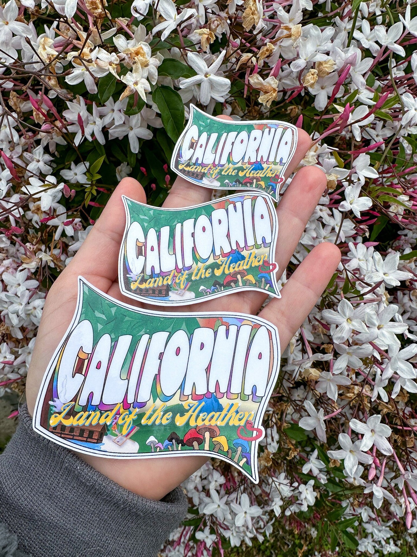 California: Land of the Heathen Postcard Sticker